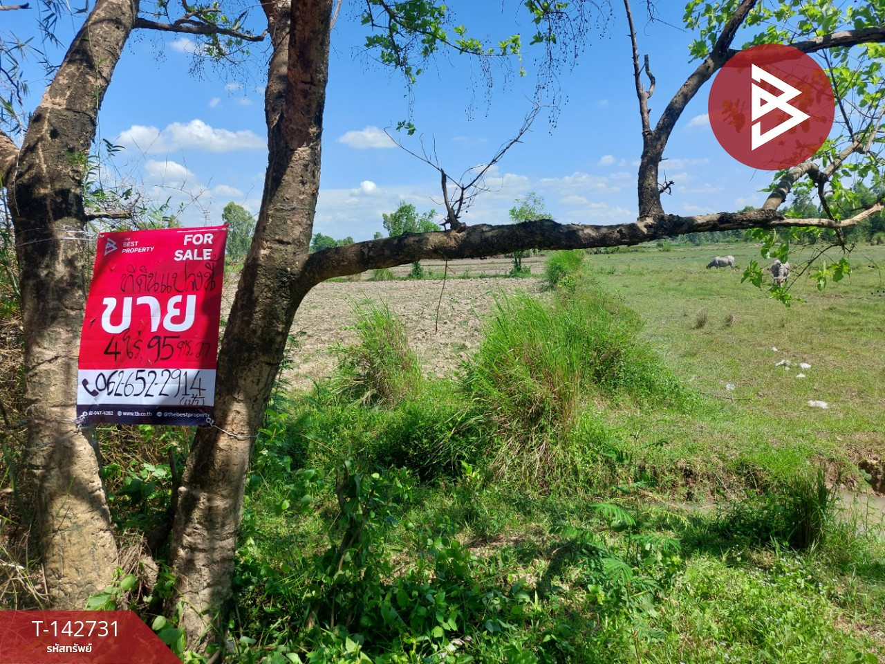 ขายที่ดิน เนื้อที่ 4 ไร่ 95 ตร.วา รัตนวาปี หนองคาย