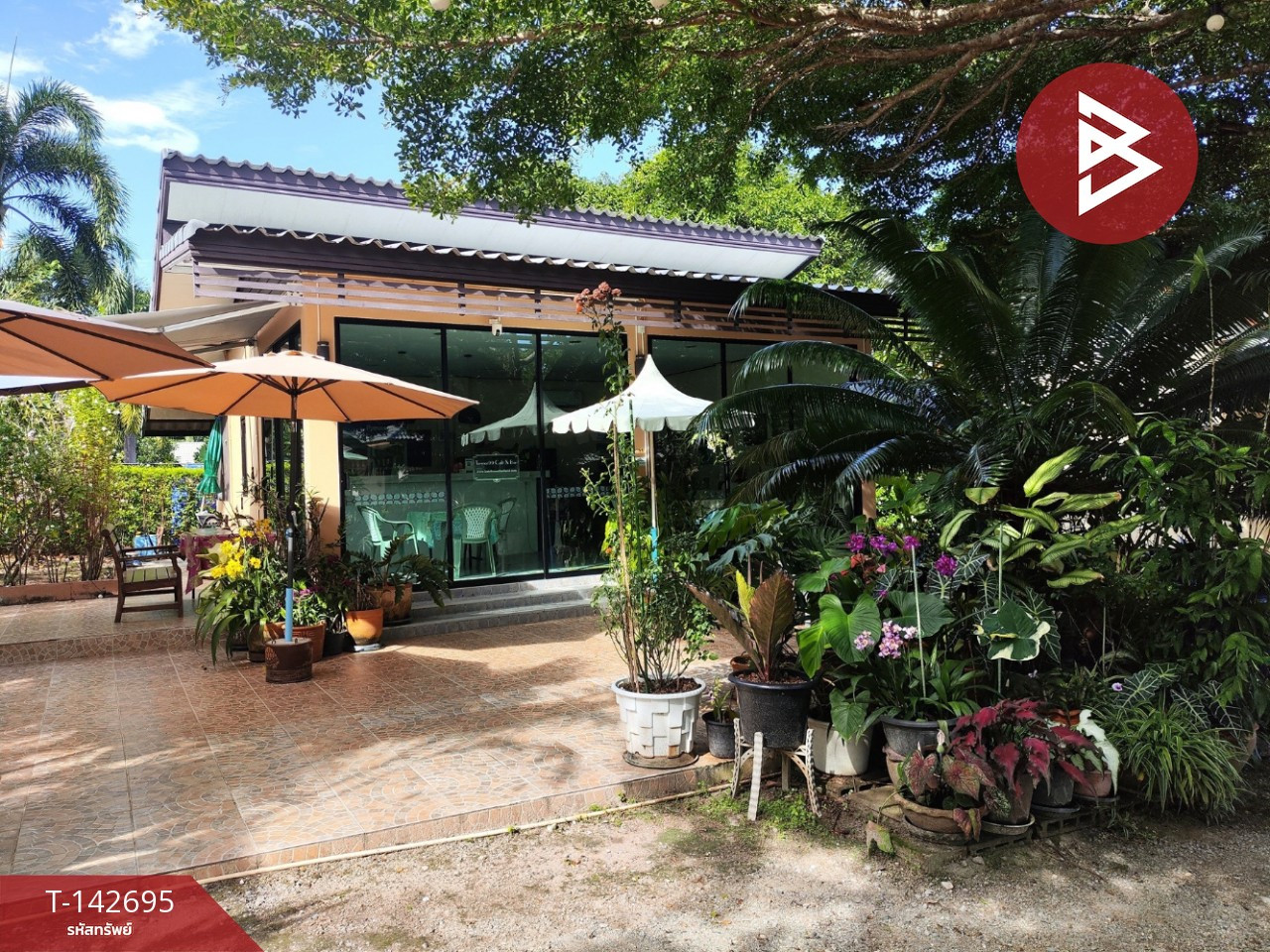 ขายรีสอร์ท เนื้อที่ 2 ไร่ บางสะพาน ประจวบคีรีขันธ์ ใกล้ชายหาด