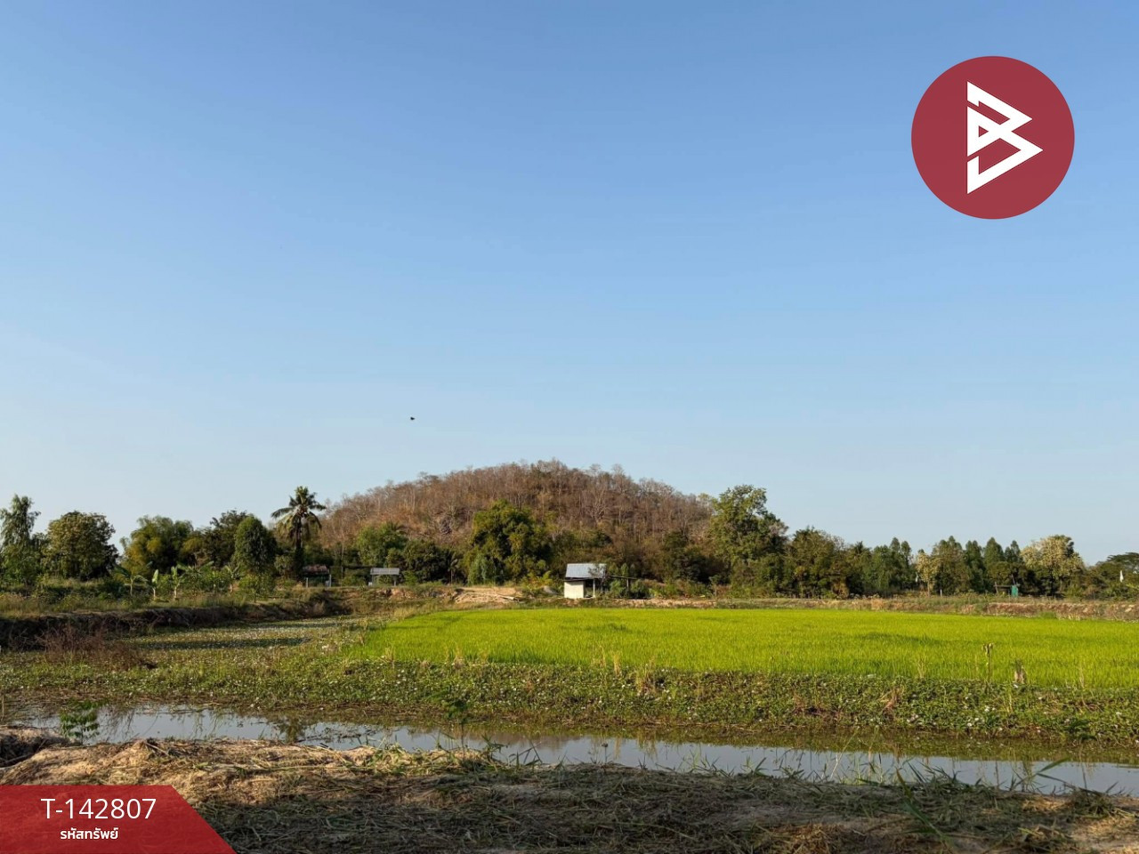 ขายที่ดิน เนื้อที่ 10 ไร่ ลาดยาว นครสวรรค์