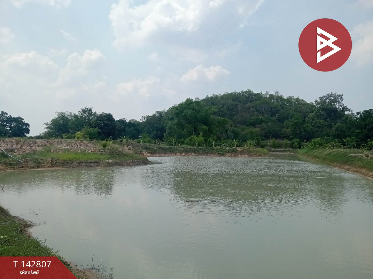 ขายที่ดิน เนื้อที่ 10 ไร่ ลาดยาว นครสวรรค์