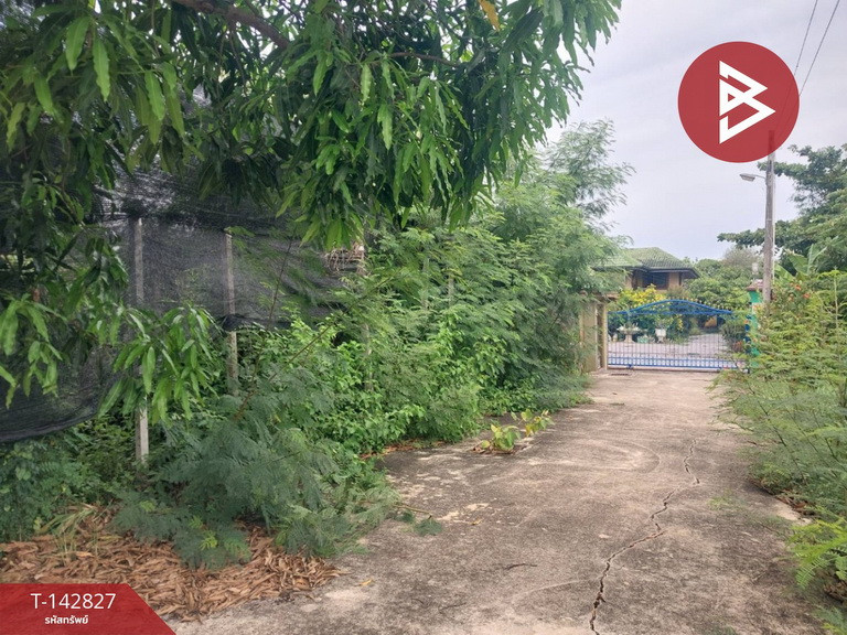 ขายที่ดิน เนื้อที่ 80 ตร.วา บ้านแพ้ว สมุทรสาคร