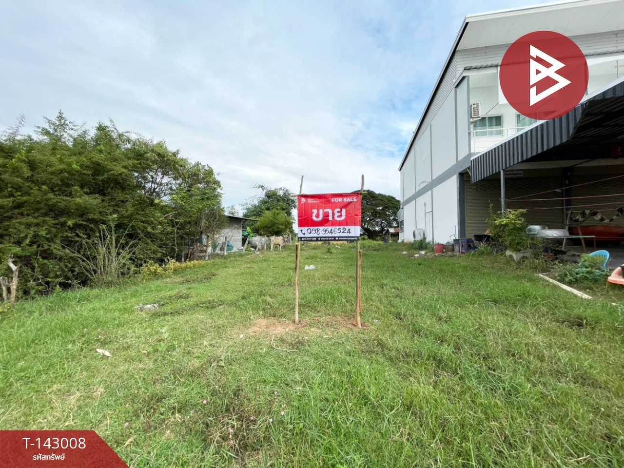 ขายที่ดิน เนื้อที่ 1 งาน โนนศิลา ขอนแก่น