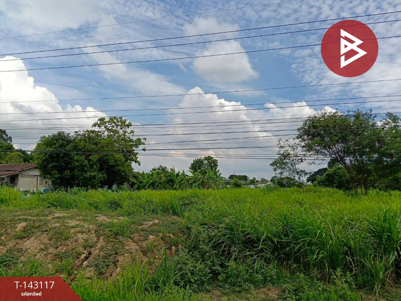 ขายที่ดิน เนื้อที่ 1 ไร่ 36 ตร.วา บางระกำ พิษณุโลก