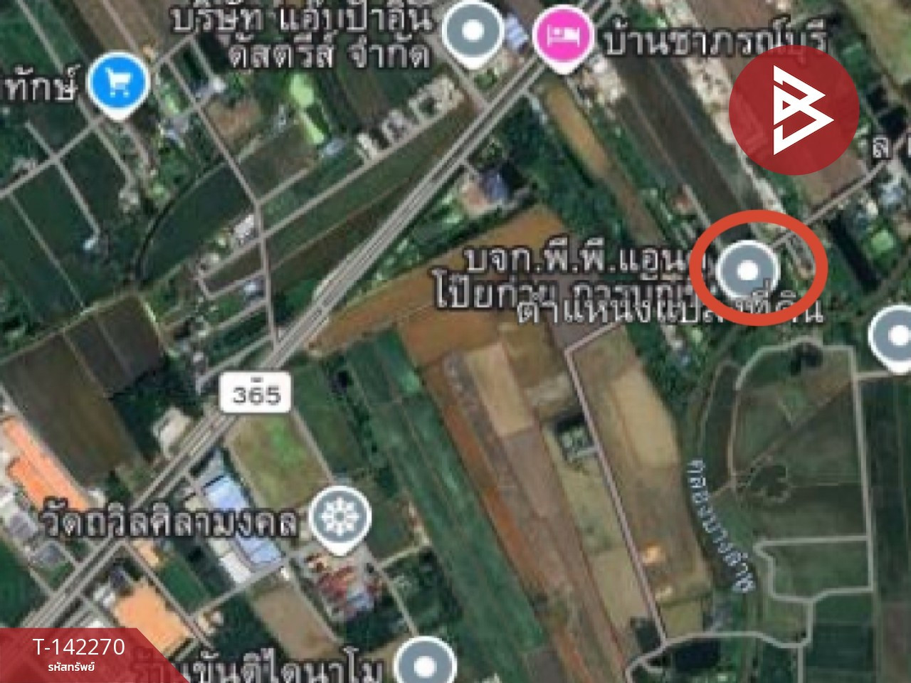 ขายที่ดิน เนื้อที่เริ่มต้น 80.9 ตร.วา ท่าไข่ ฉะเชิงเทรา