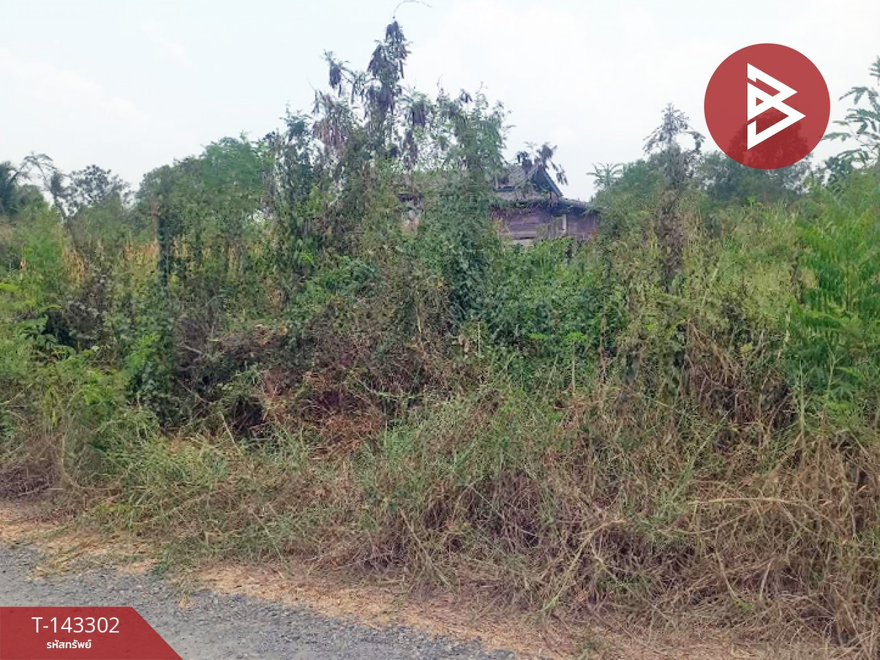 ขายที่ดิน เนื้อที่ 1 งาน 20 ตร.วา องครักษ์ นครนายก