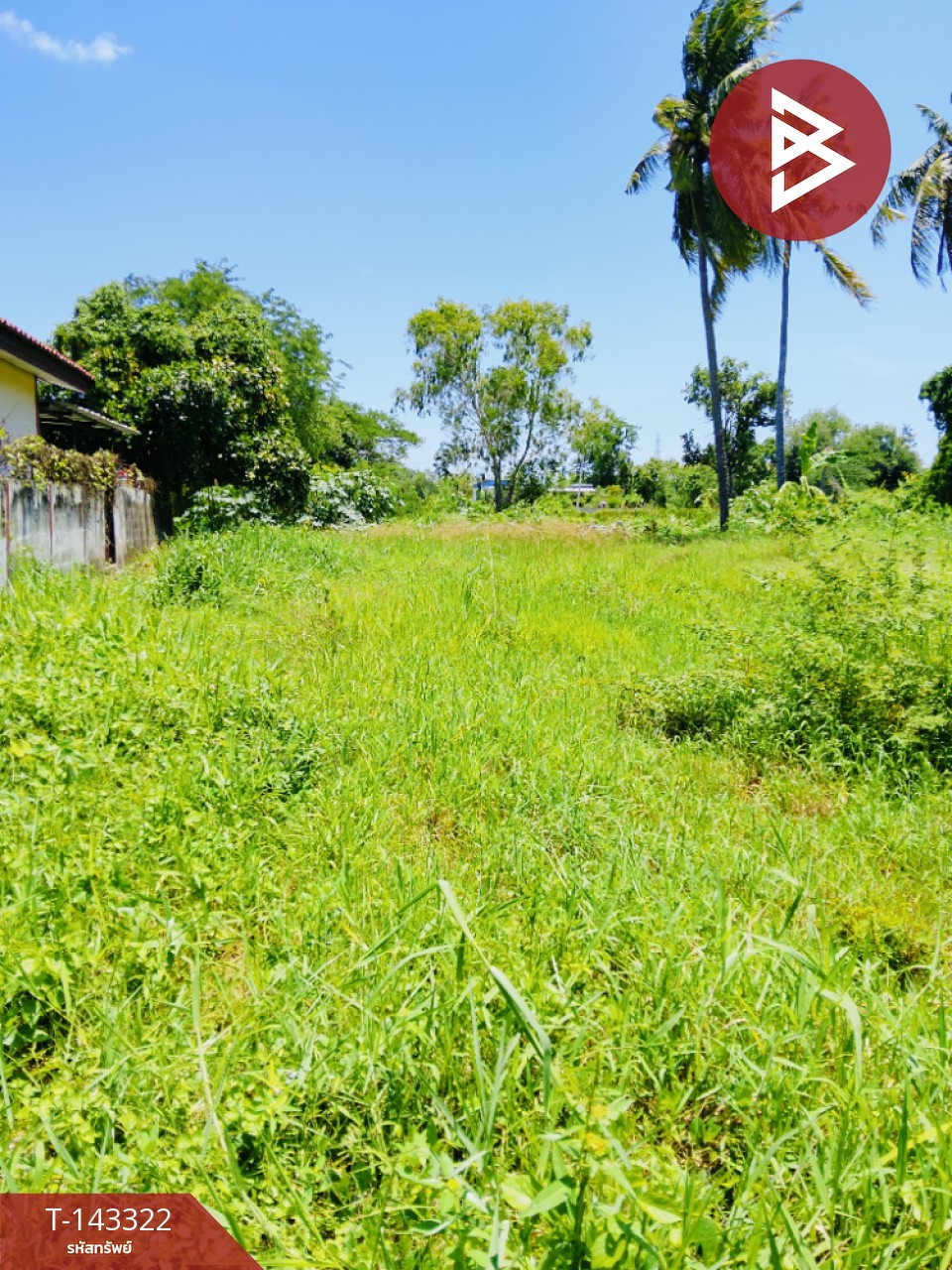 ขายที่ดิน เนื้อที่ 1 งาน 30 ตร.วา นอกเมือง สุรินทร์