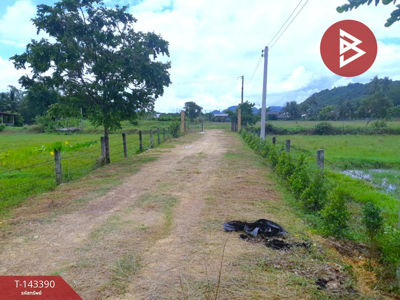 ขายที่ดิน เนื้อที่ 4 ไร่ 72 ตร.วา เกาะลันตา กระบี่