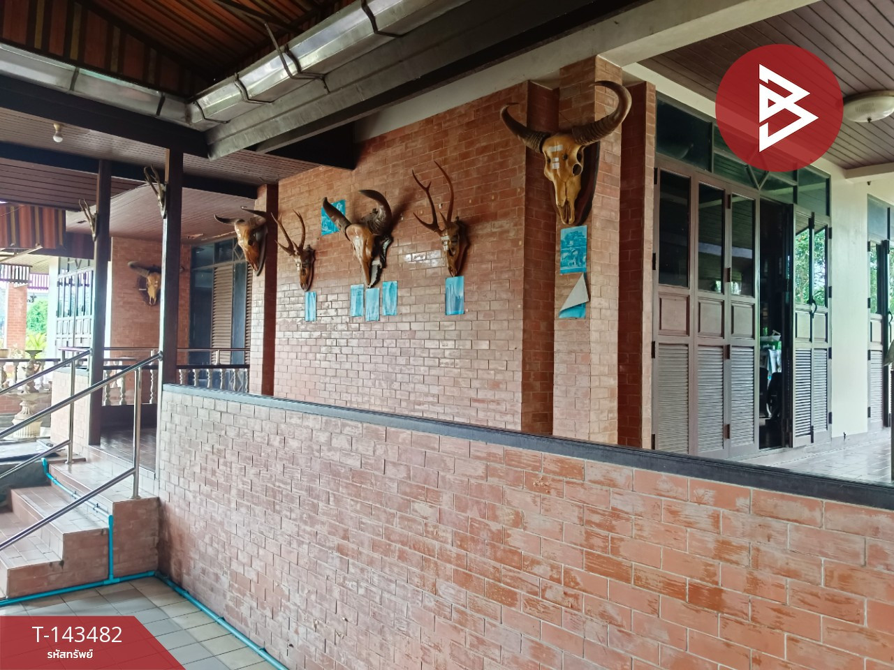 ขายบ้านเดี่ยวพร้อมที่ดิน เนื้อที่ 2 ไร่ 48.5 ตร.วา วังกระแจะ ตราด