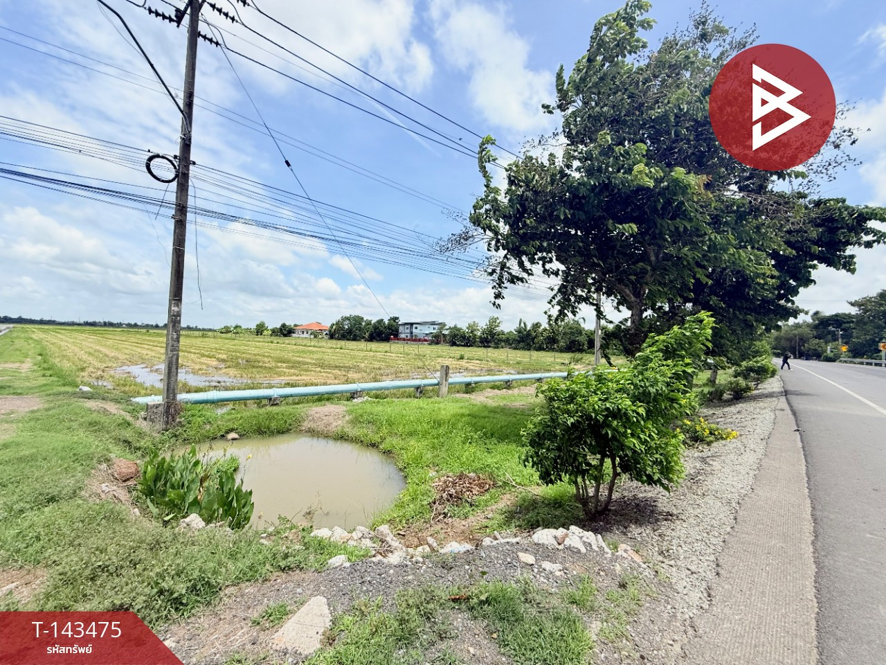ขายที่ดิน เนื้อที่ 24 ไร่ 5 ตร.วา หนองจอก กรุงเทพมหานคร