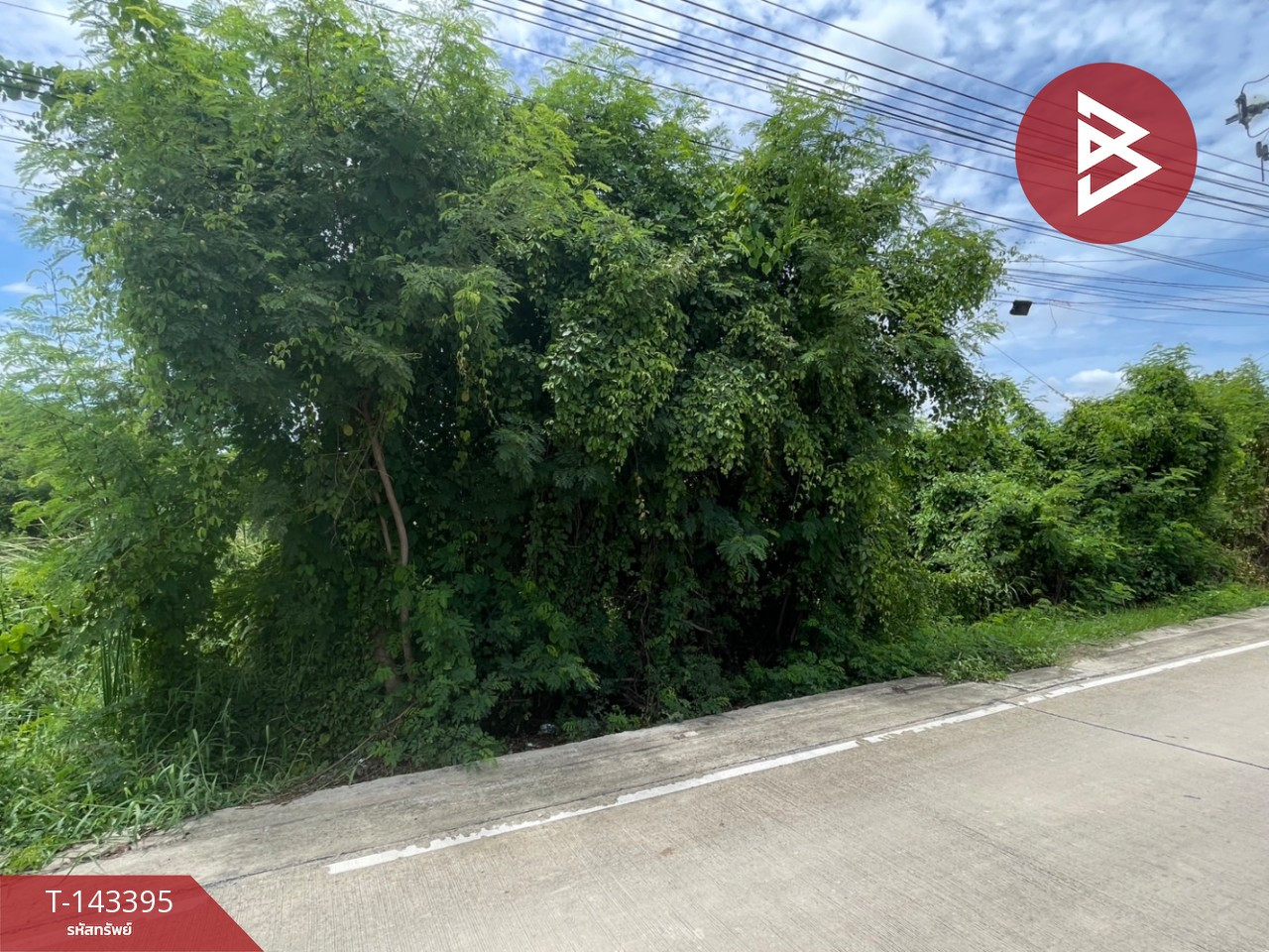 ขายที่ดิน เนื้อที่ 80 ตร.วา บางกรวย นนทบุรี