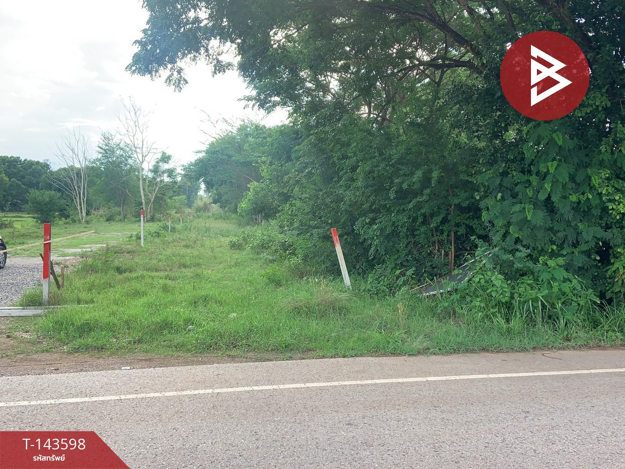 ขายที่ดิน เนื้อที่ 1 ไร่ นาดี อุดรธานี