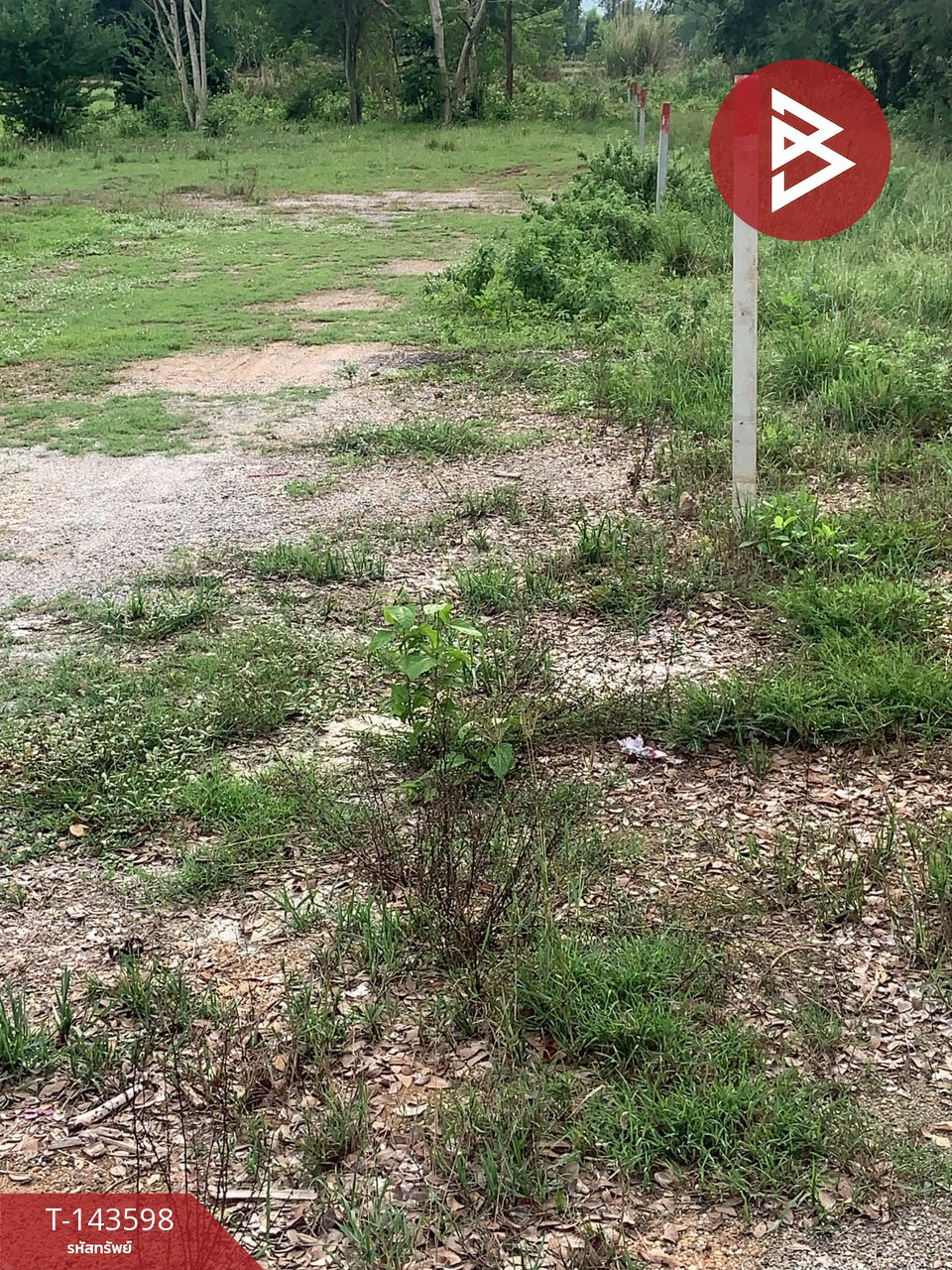 ขายที่ดิน เนื้อที่ 1 ไร่ นาดี อุดรธานี