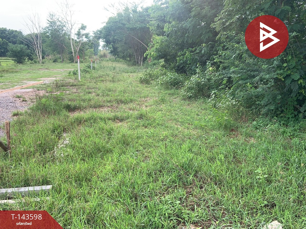 ขายที่ดิน เนื้อที่ 1 ไร่ นาดี อุดรธานี