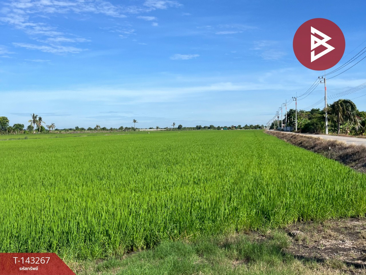 ขายที่ดิน เนื้อที่ 7 ไร่ 2 งาน 91 ตร.วา คลองอุดมชลจร ฉะเชิงเทรา