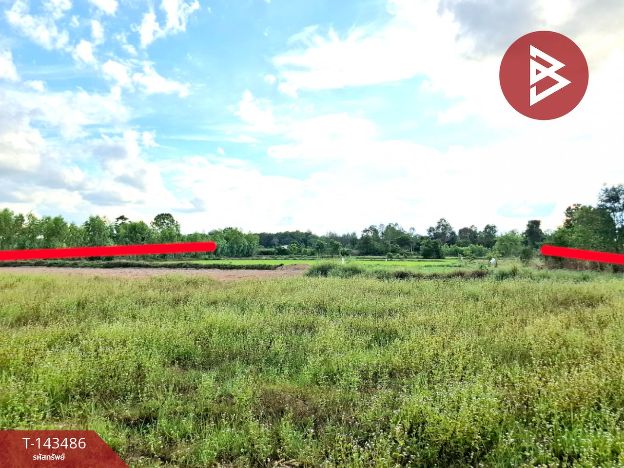 ขายที่ดิน เนื้อที่ 8 ไร่ 3 งาน 68.5 ตร.วา โพนทอง ร้อยเอ็ด
