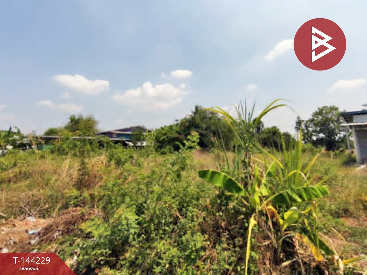 ขายที่ดิน เนื้อที่ 1 งาน 18 ตร.วา วิหารแดง สระบุรี