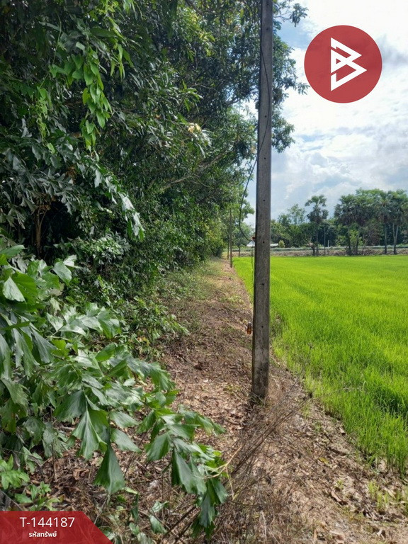 ขายที่ดิน เนื้อที่ 3 ไร่ ต.ดงละคร นครนายก