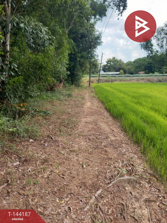 ขายที่ดิน เนื้อที่ 3 ไร่ ต.ดงละคร นครนายก
