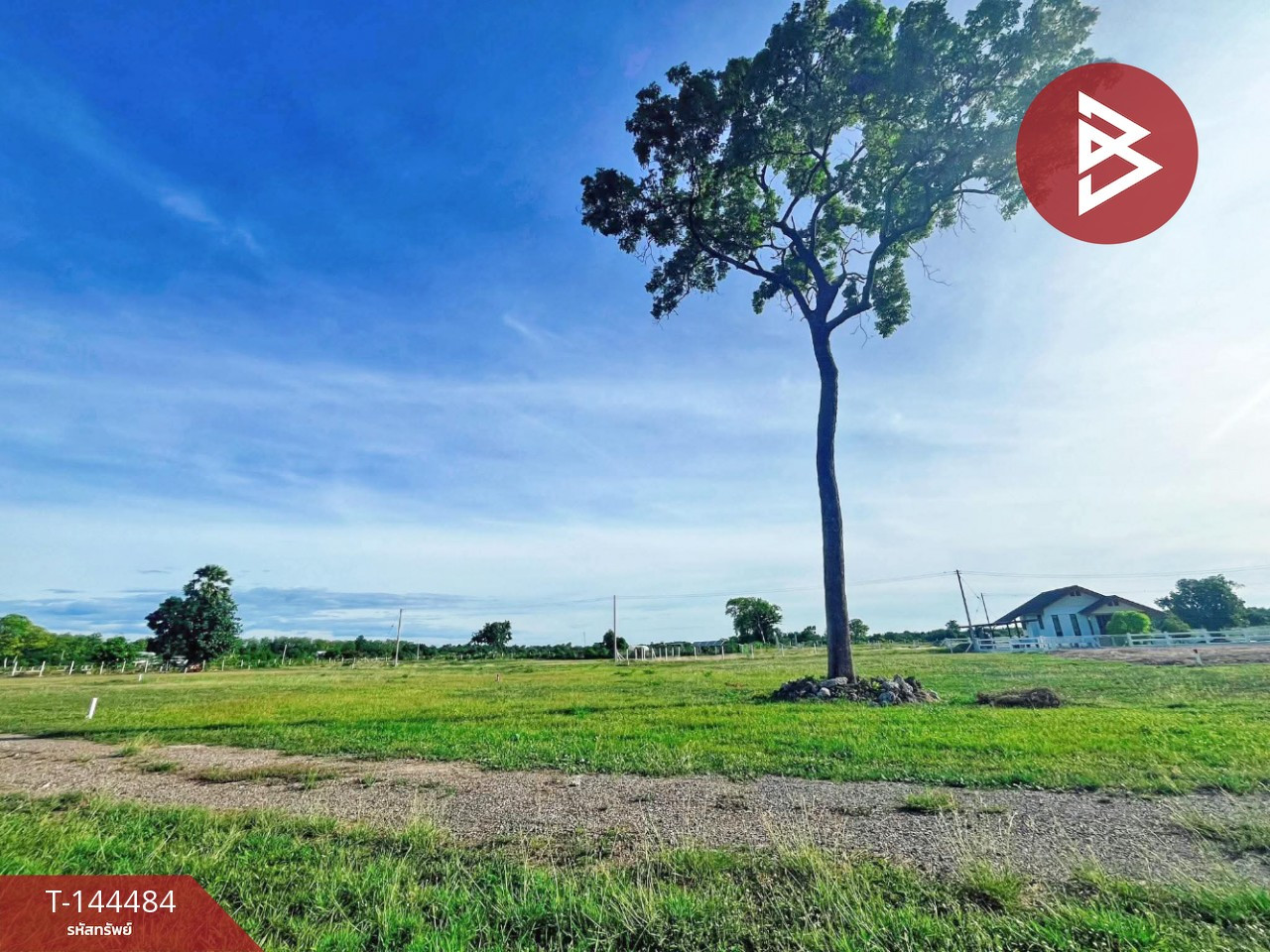 ขายที่ดิน เนื้อที่ 1 งาน 62 ตร.วา อู่ทอง สุพรรณบุรี