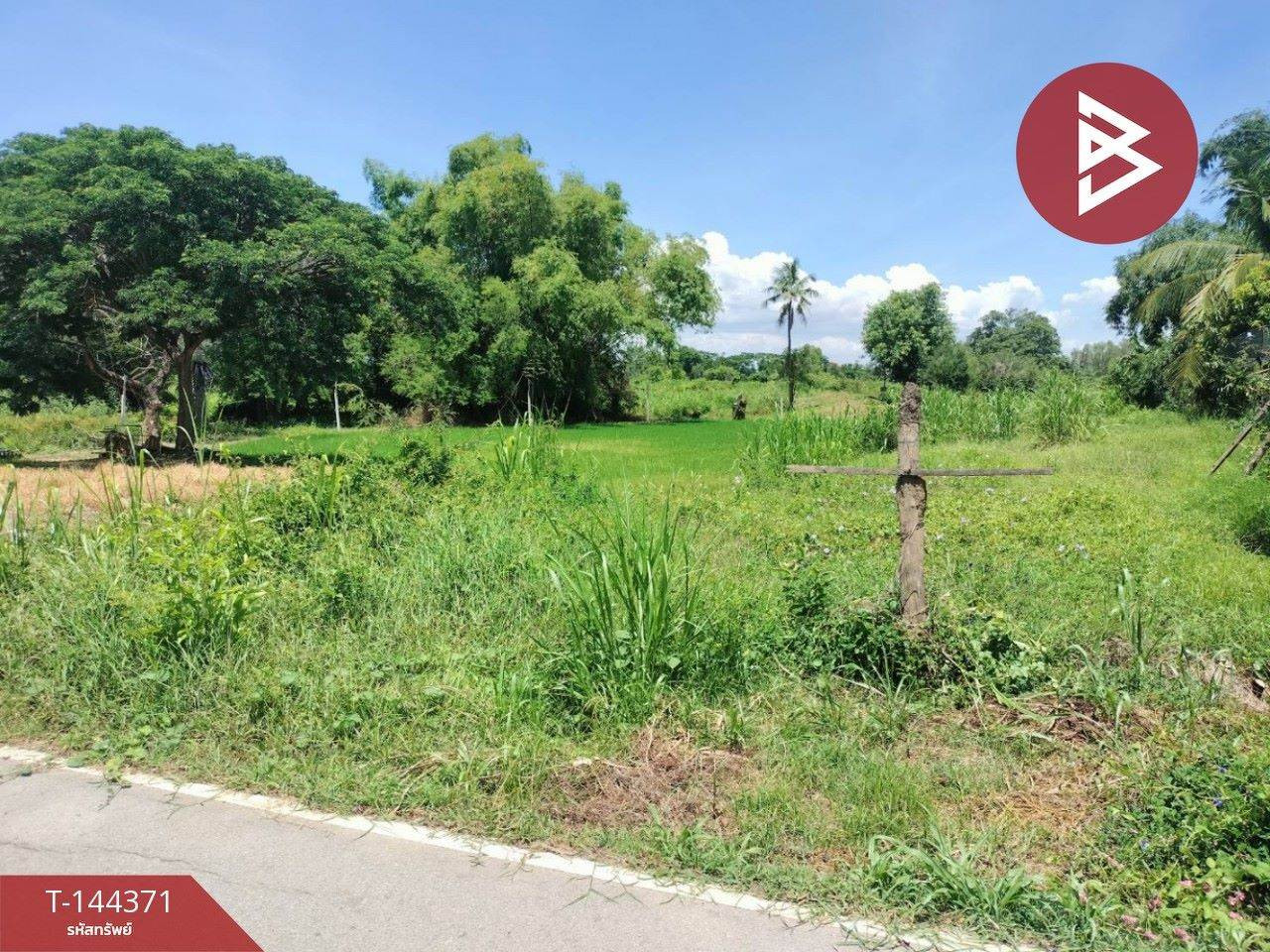 ขายที่ดินแปลงเล็ก เนื้อที่ 140 ตร.วา ติดคลองเมน อ.พรหมพิราม พิษณุโลก