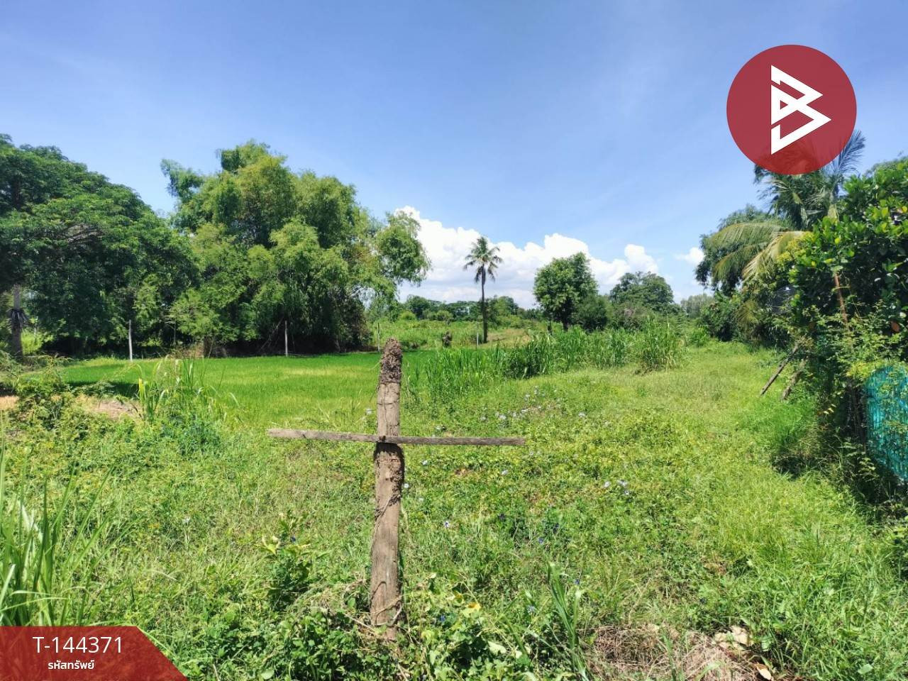 ขายที่ดินแปลงเล็ก เนื้อที่ 140 ตร.วา ติดคลองเมน อ.พรหมพิราม พิษณุโลก