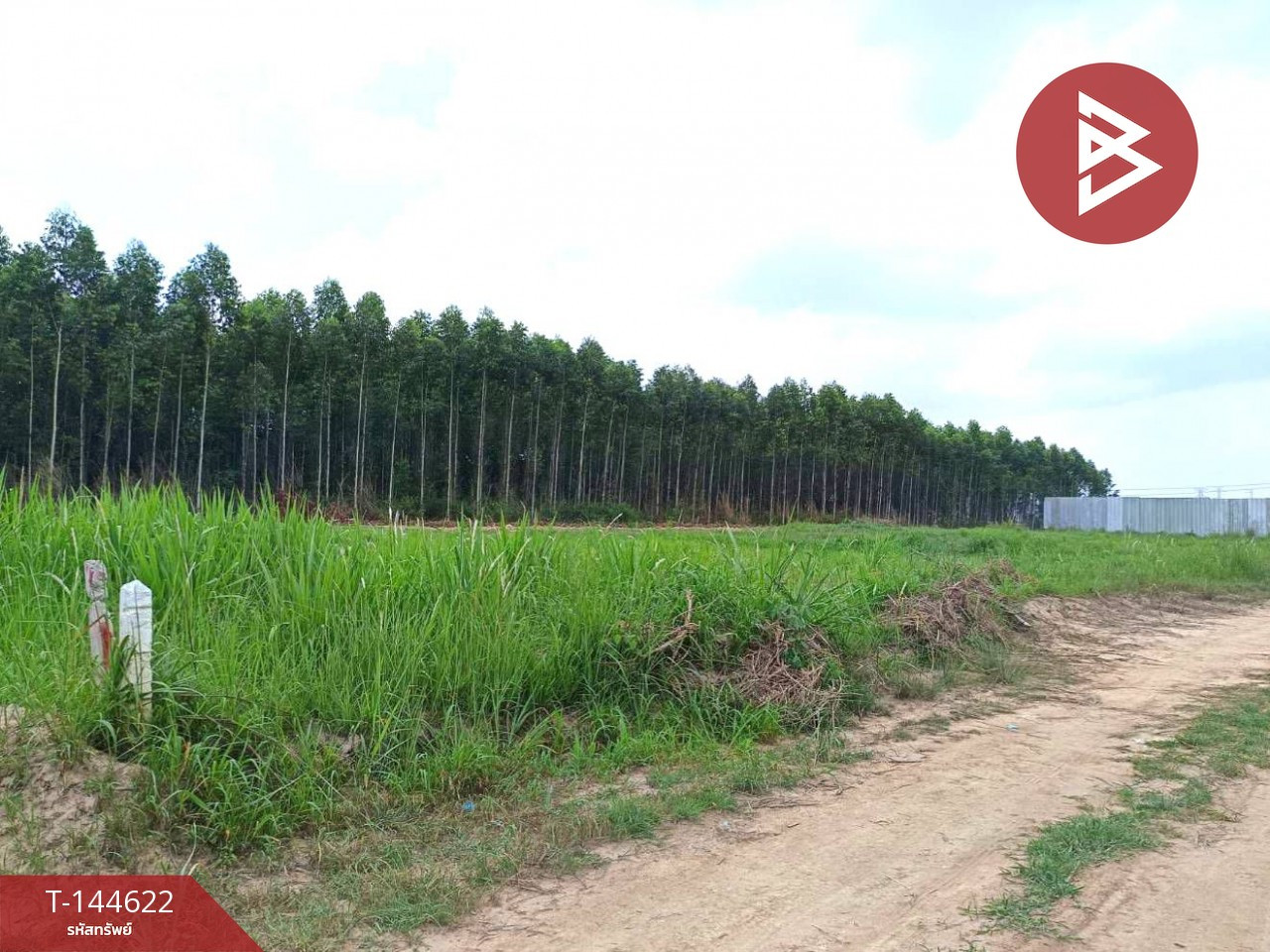 ขายที่ดิน 1 ไร่ ใกล้นิคมโรจนะหนองใหญ่ หนองไผ่แก้ว บ้านบึง ชลบุรี