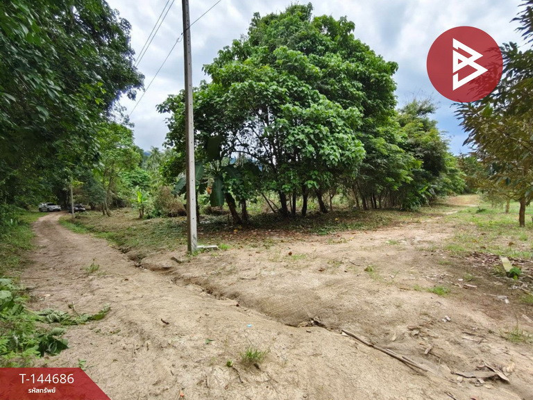 ขายที่ดิน เนื้อที่ 6 ไร่ 2 งาน 51.2 ตร.วา เกาะสมุย สุราษฎร์ธานี