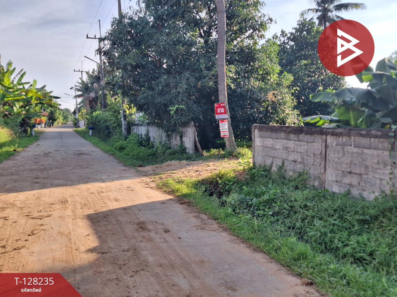 ขายที่ดิน เนื้อที่ 1 งาน 90 ตร.วา จังหาร ร้อยเอ็ด