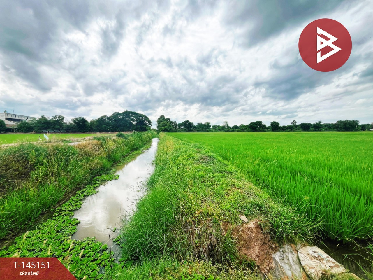 ขายที่ดิน เนื้อที่ 27 ไร่ 96 ตร.วา ดอนเจดีย์ สุพรรณบุรี