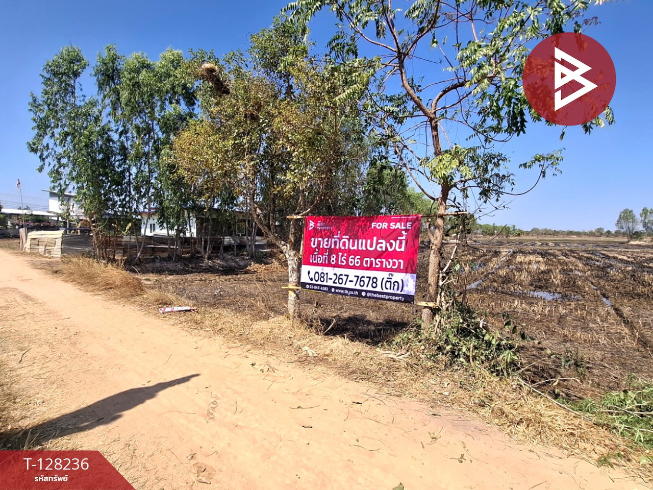 ขายที่ดิน เนื้อที่ 8 ไร่ 66 ตร.วา จังหาร ร้อยเอ็ด