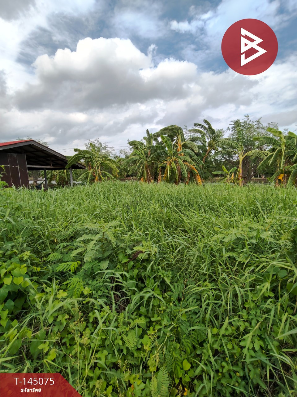 ขายที่ดิน เนื้อที่ 1 งาน บางพลี สมุทรปราการ