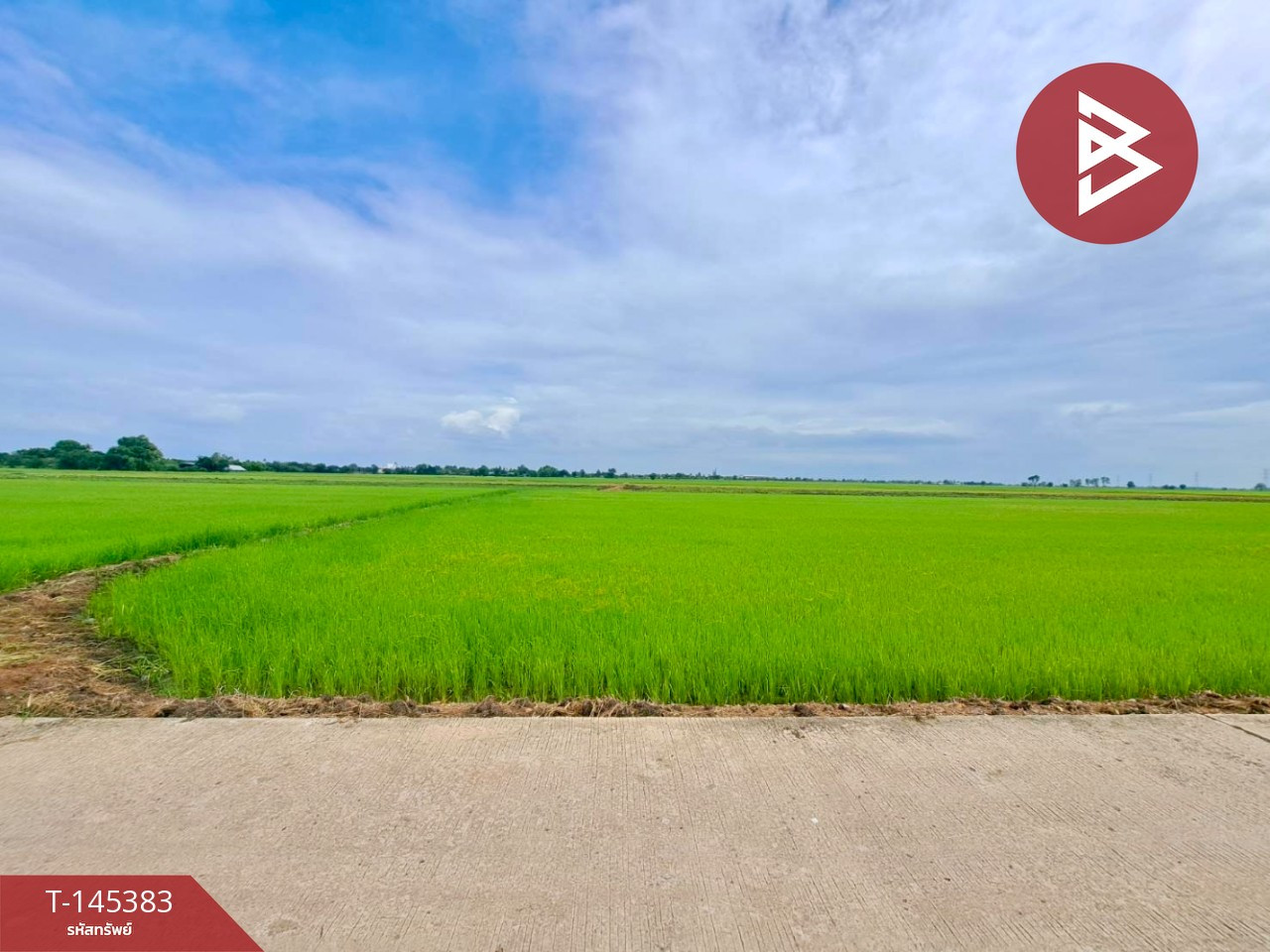 ขายที่ดินการเกษตร เนื้อที่ 17 ไร่ 71 ตร.วา เขตชุมชน อ.ตาคลี จ.นครสวรรค์