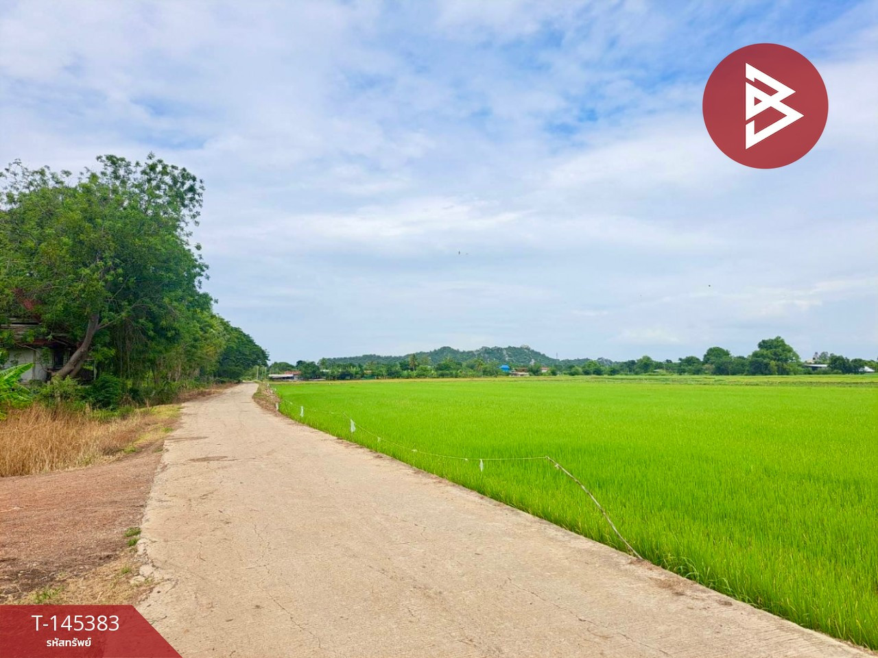 ขายที่ดินการเกษตร เนื้อที่ 17 ไร่ 71 ตร.วา เขตชุมชน อ.ตาคลี จ.นครสวรรค์
