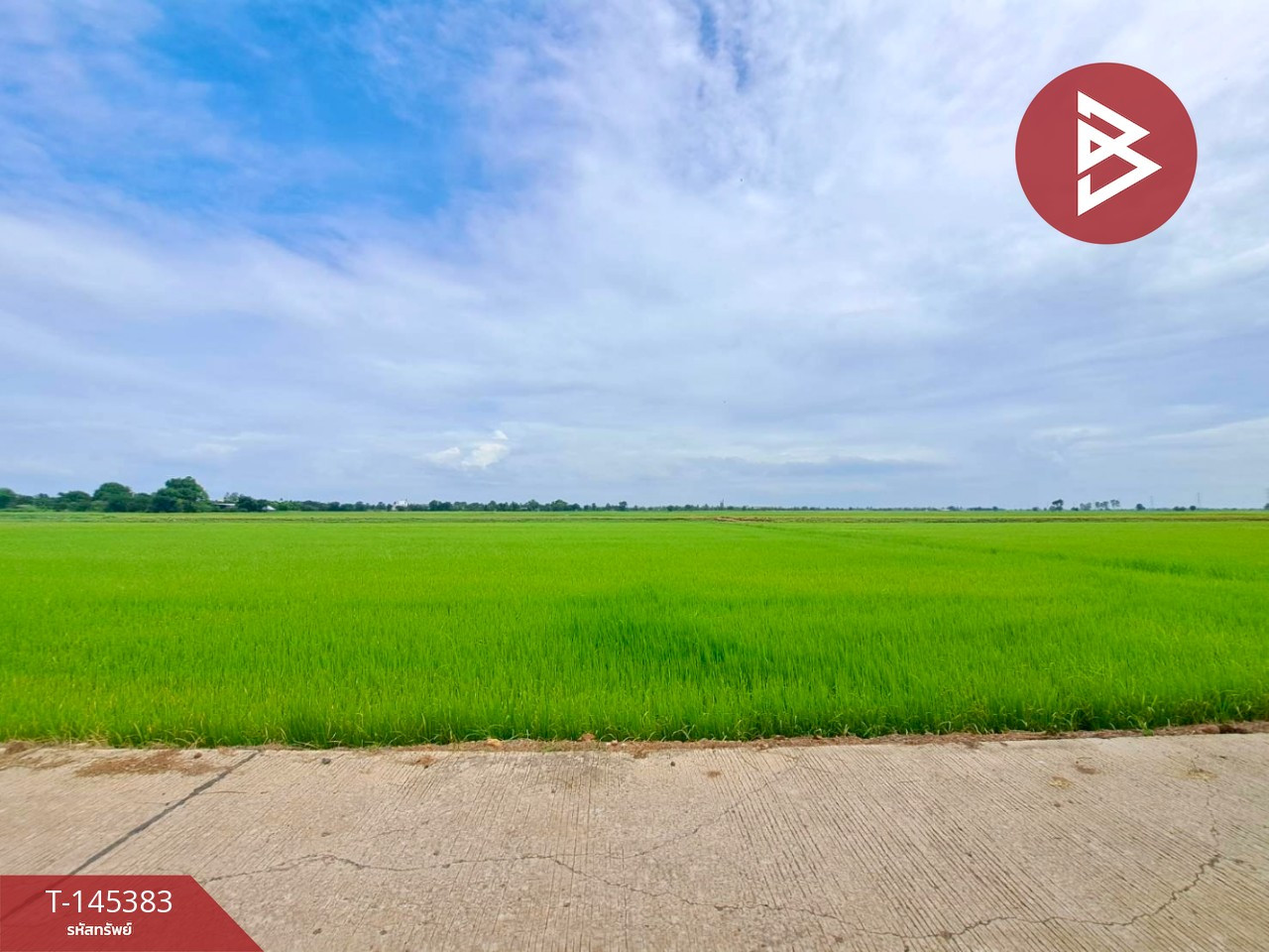 ขายที่ดินการเกษตร เนื้อที่ 17 ไร่ 71 ตร.วา เขตชุมชน อ.ตาคลี จ.นครสวรรค์