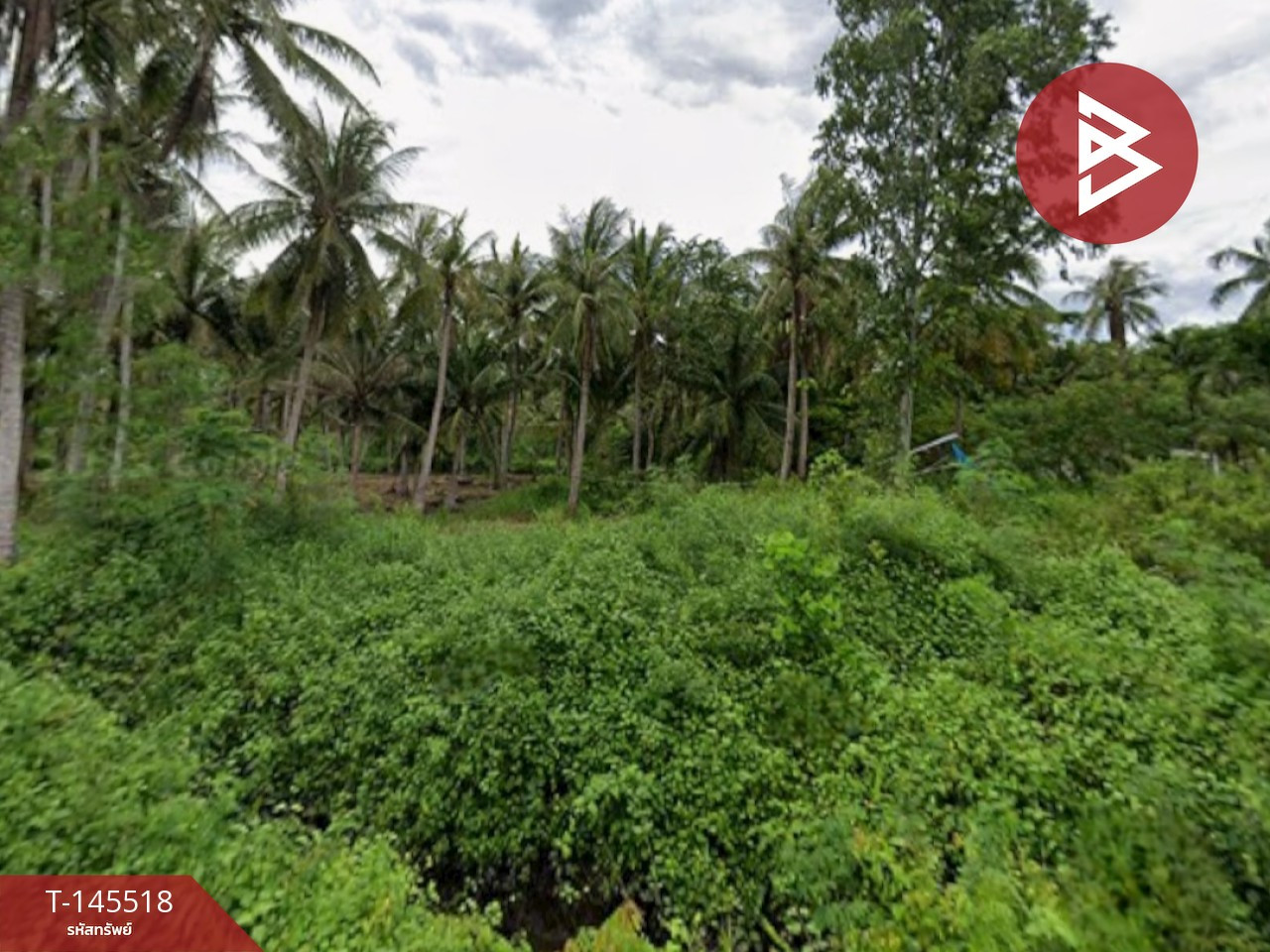 ขายที่ดิน เนื้อที่ 4 ไร่ 1 งาน 46.6 ตร.วา บ้านแหลม เพชรบุรี