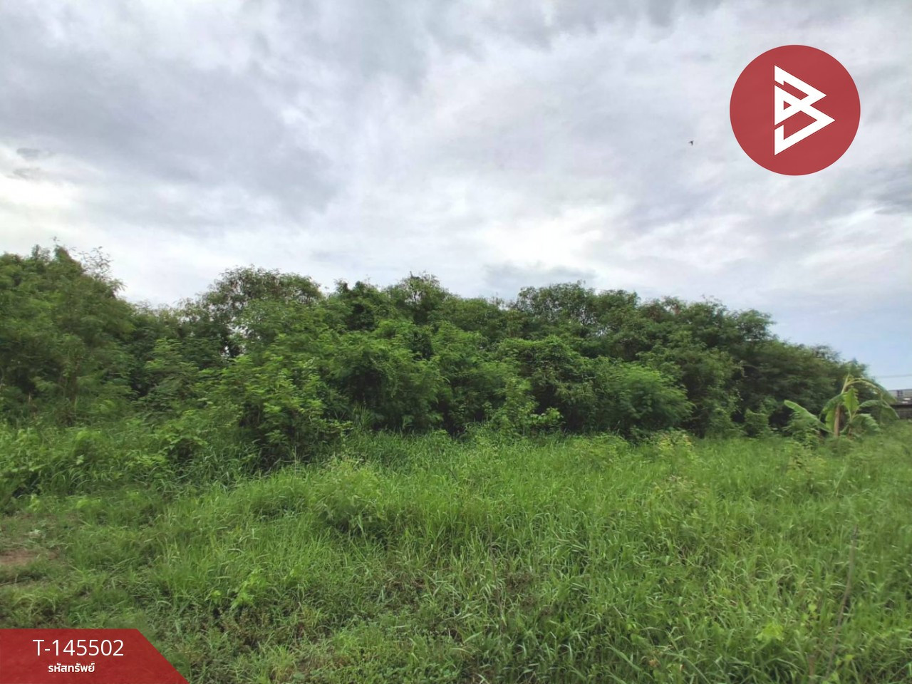 ขายที่ดิน เนื้อที่ 86 ตร.วา โสธร ฉะเชิงเทรา