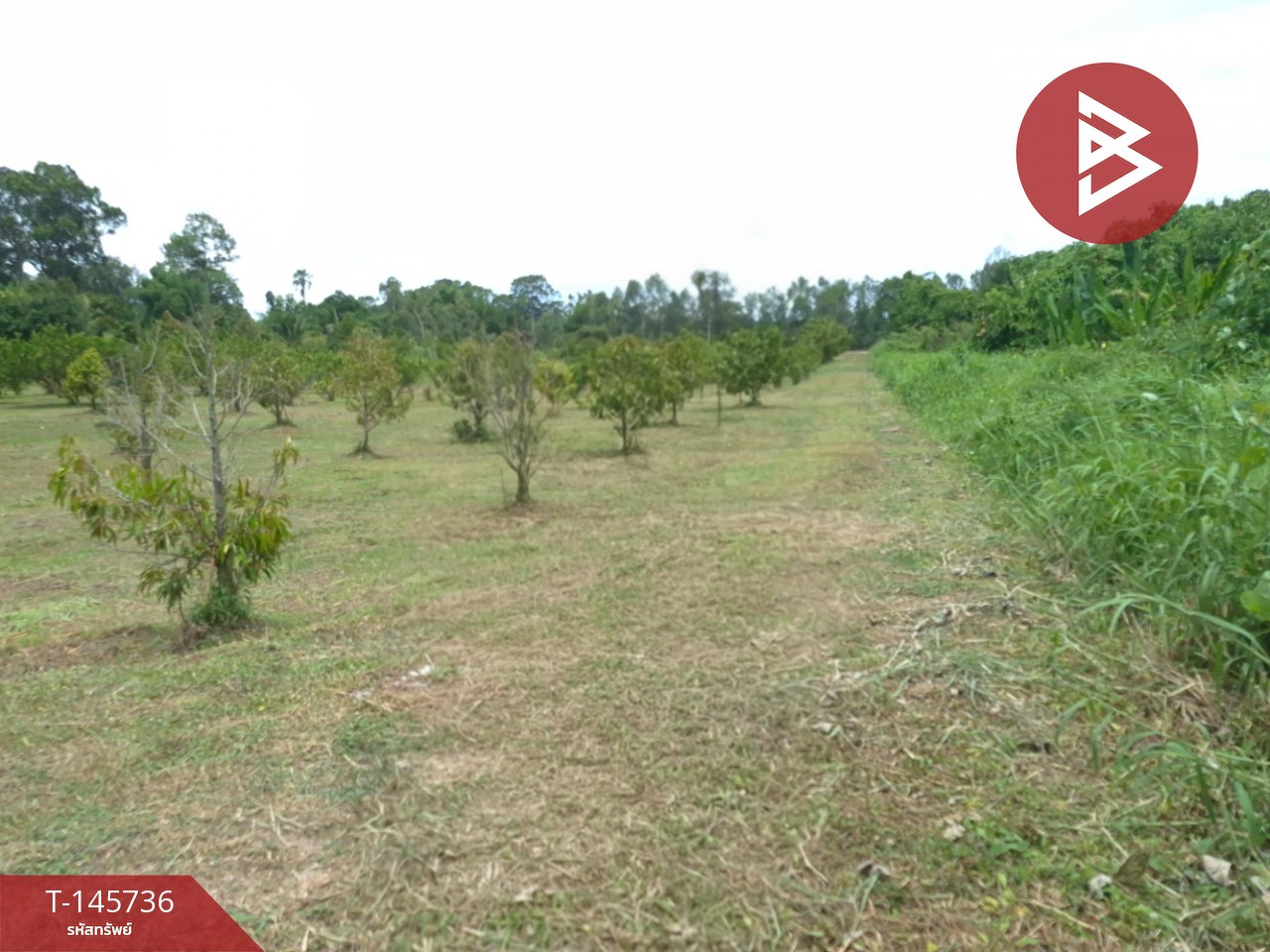 ขายที่ดิน เนื้อที่ 7 ไร่ 2 งาน 73.8 ตร.วา บ้านนา นครนายก