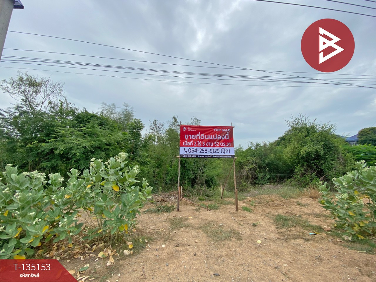 ขายที่ดิน เนื้อที่ 2 ไร่ 3 งาน 52 ตร.วา สามชุก สุพรรณบุรี