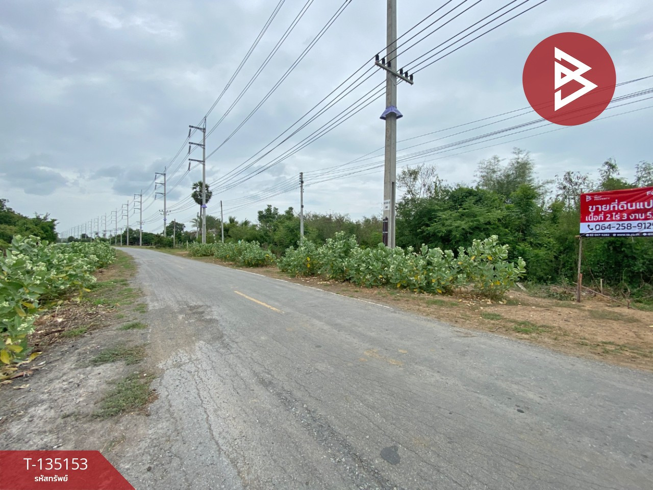 ขายที่ดิน เนื้อที่ 2 ไร่ 3 งาน 52 ตร.วา สามชุก สุพรรณบุรี