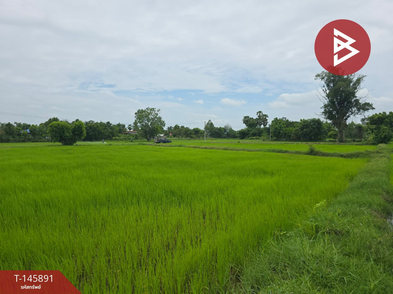 ขายที่ดิน เนื้อที่ 1 ไร่ 2 งาน 94 ตร.วา ต.โพธิ์ อ.เมืองศรีสะเกษ จ.ศรีสะเกษ