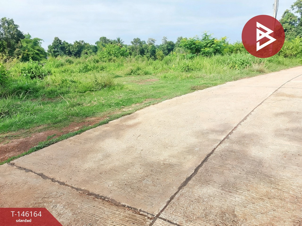 ขายที่ดิน เนื้อที่ 1 งาน 75.4 ตร.วา ท่าบ่อ หนองคาย