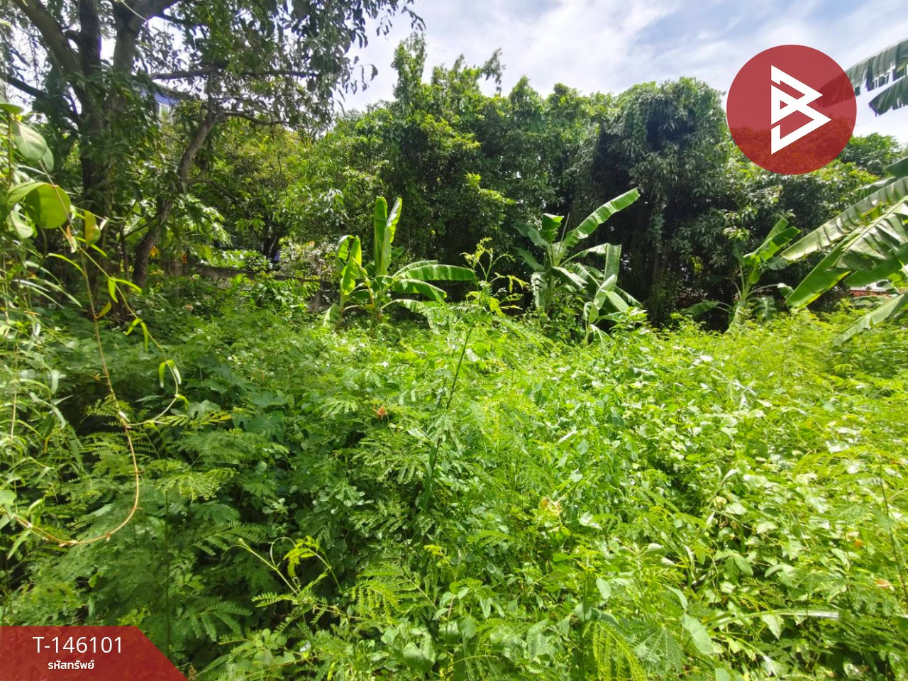 ขายที่ดิน เนื้อที่ 86 ตร.วา บางศรีเมือง นนทบุรี