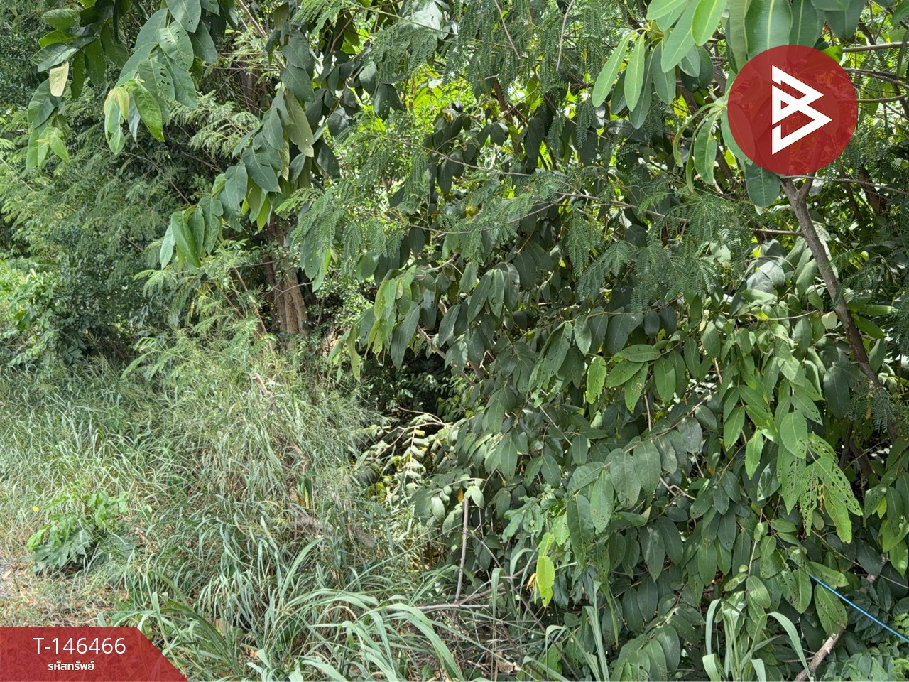 ขายที่ดิน เนื้อที่ 15 ไร่ 54 ตร.วา พัฒนานิคม ลพบุรี