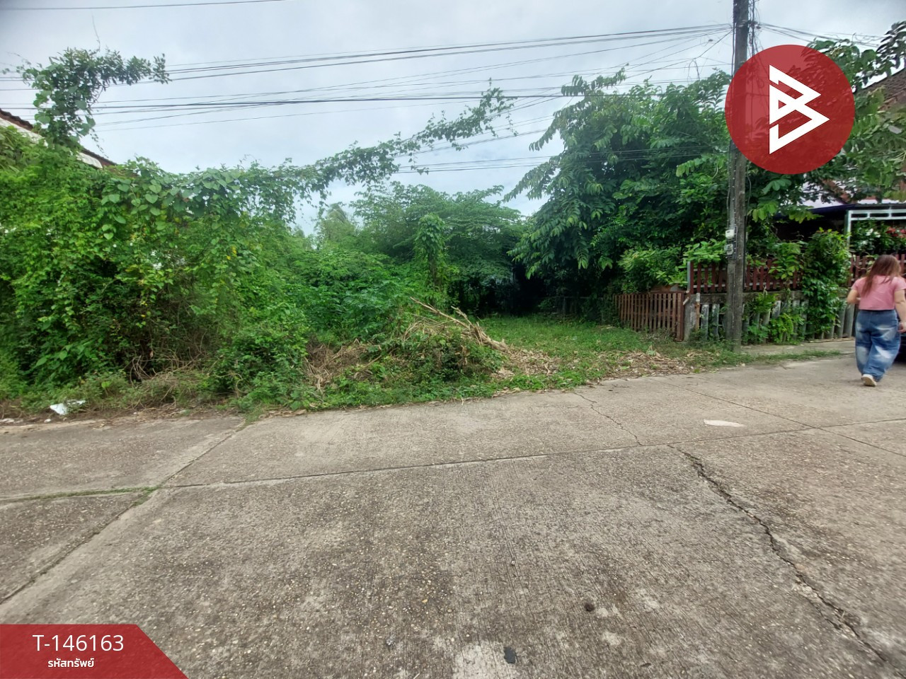 ขายที่ดิน เนื้อที่ 51.3 ตร.วา ท่าบ่อ หนองคาย