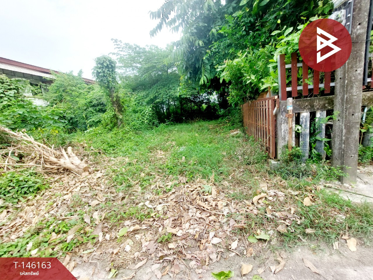 ขายที่ดิน เนื้อที่ 51.3 ตร.วา ท่าบ่อ หนองคาย