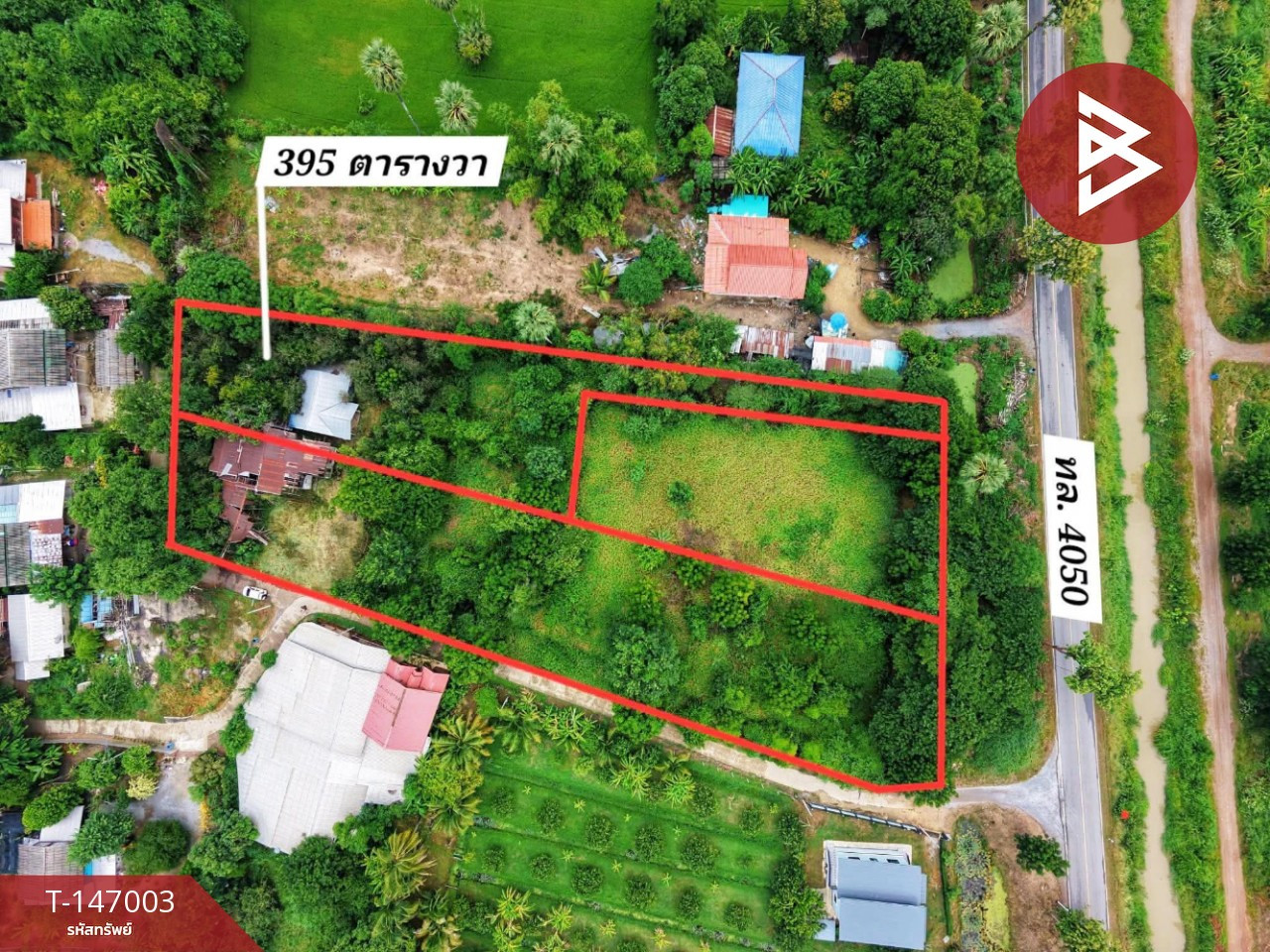 ขายบ้านเดี่ยวชั้นเดียว พร้อมที่ดิน 3 งาน 95 ตร.วา ต.เที่ยงแท้ อ.สรรคบุรี จ.ชัยนาท