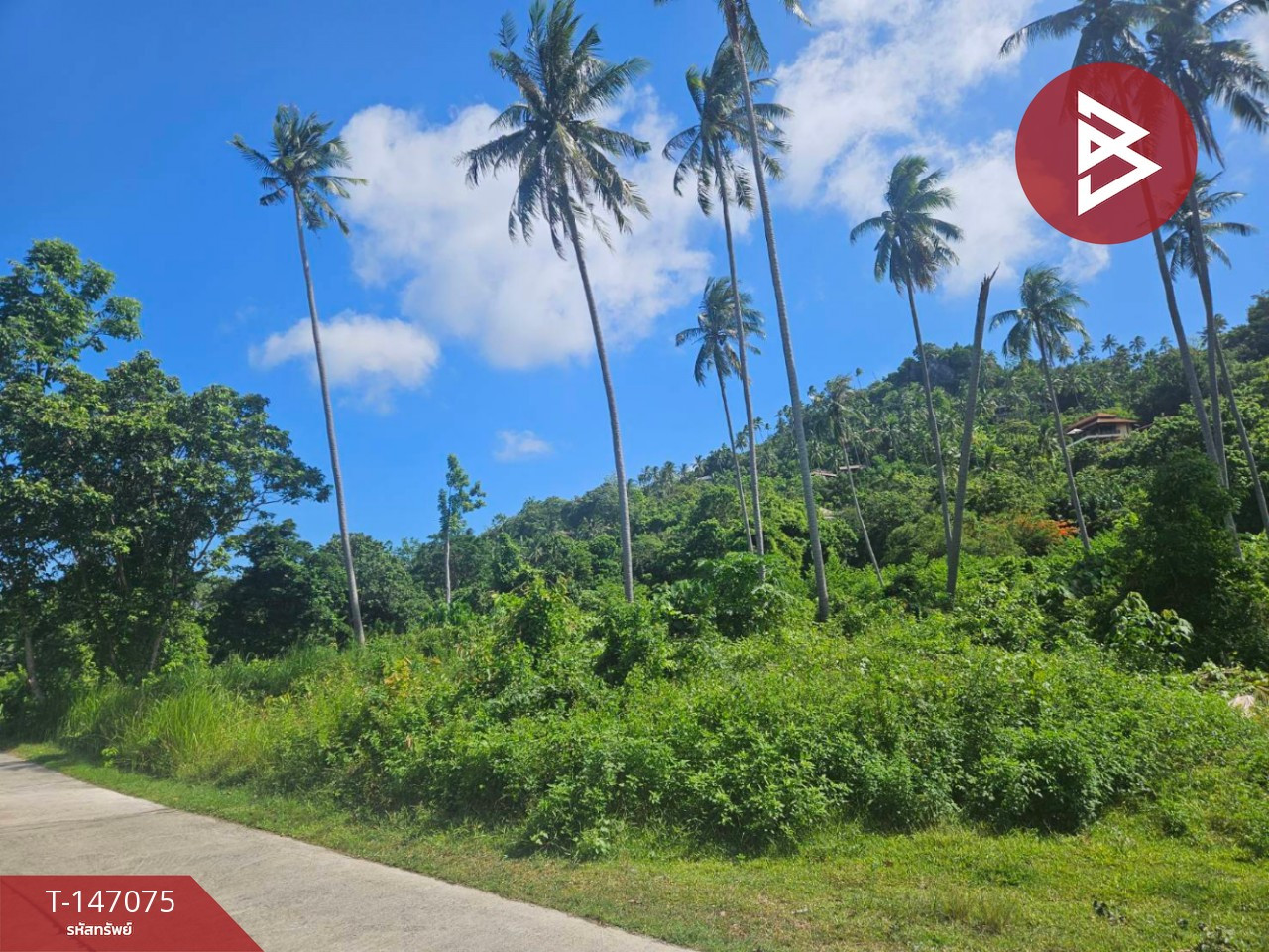 ขายที่ดิน เนื้อที่ 3 ไร่ 3 งาน 63.5 ตร.วา ต.หน้าเมือง อ.เกาะสมุย สุราษฎร์ธานี
