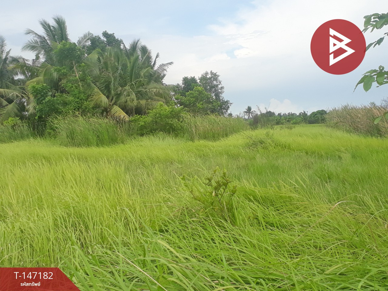 ขายด่วนที่ดิน เนื้อที่ 87 ตร.วา อยู่วิทยา 11 หนองจอก กรุงเทพฯ
