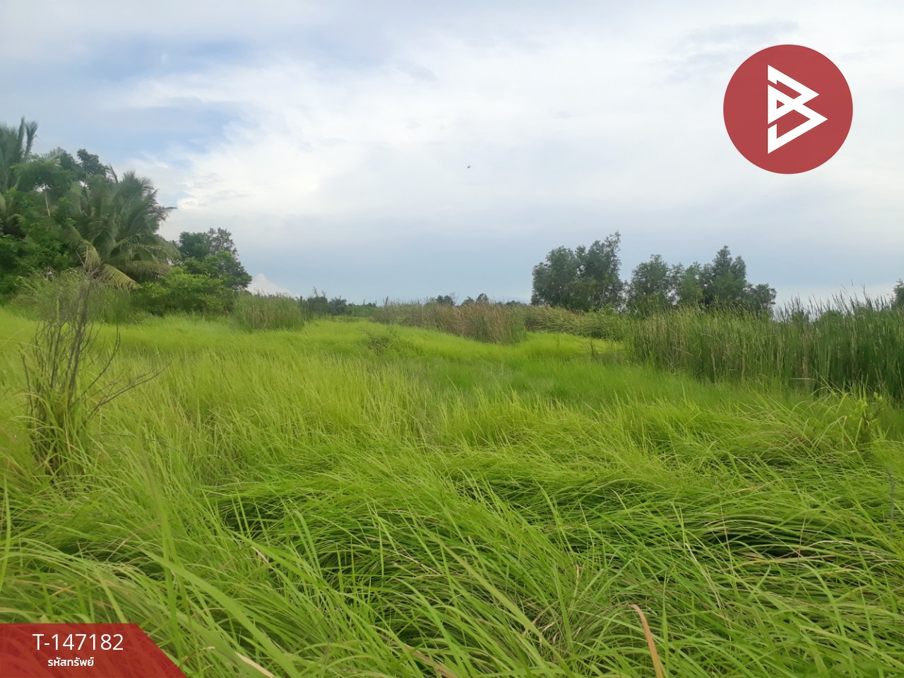 ขายด่วนที่ดิน เนื้อที่ 87 ตร.วา อยู่วิทยา 11 หนองจอก กรุงเทพฯ