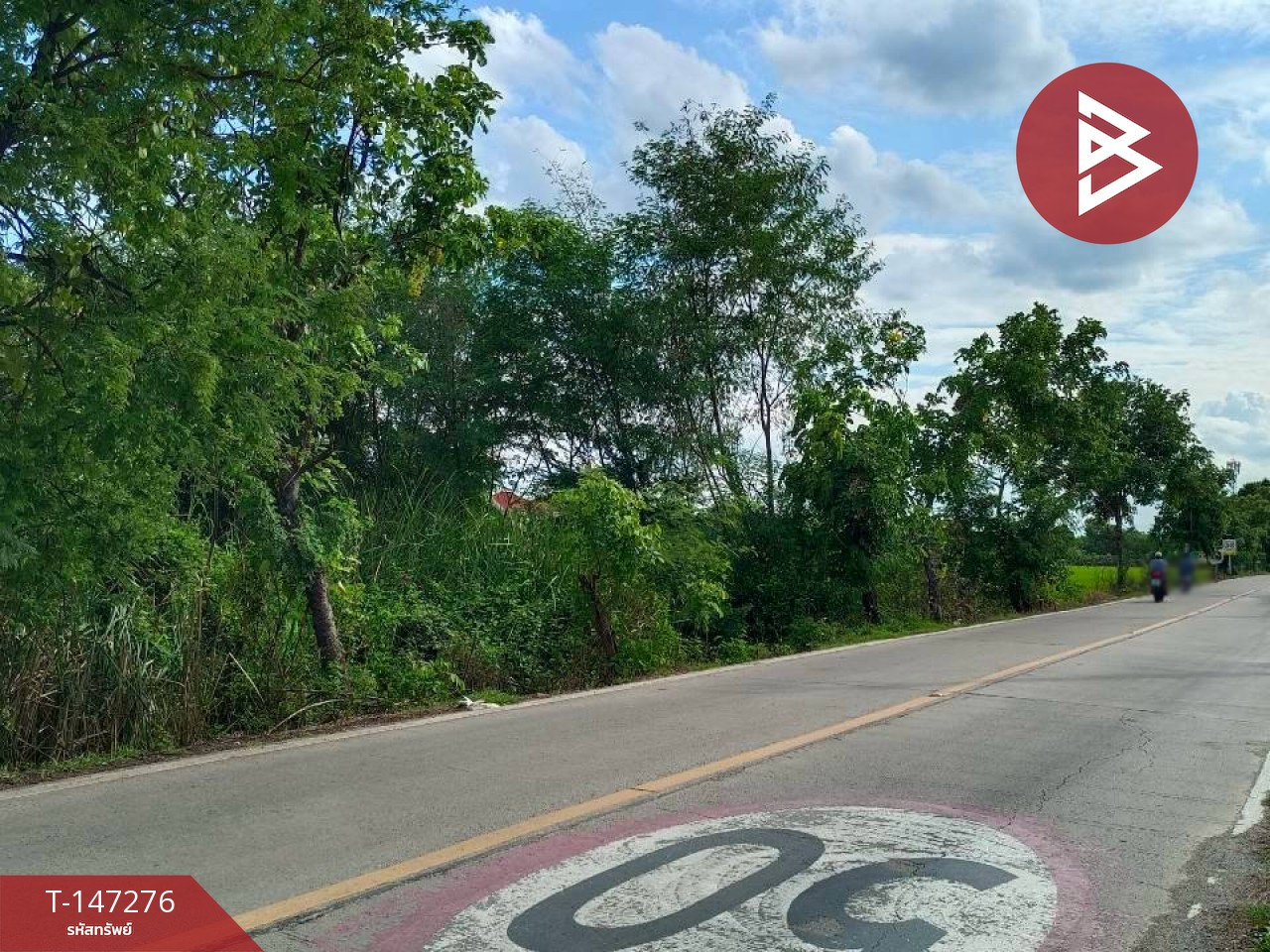 ขายที่ดินสวย 2 แปลง เนื้อที่รวม 11 ไร่ 62 ตร.วา ซอยเทศบาล 25 นนทบุรี ทำเลทองบางใหญ่-บางแม่นาง